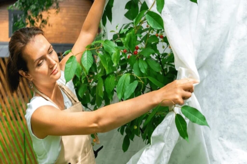 uses of non-woven fabric