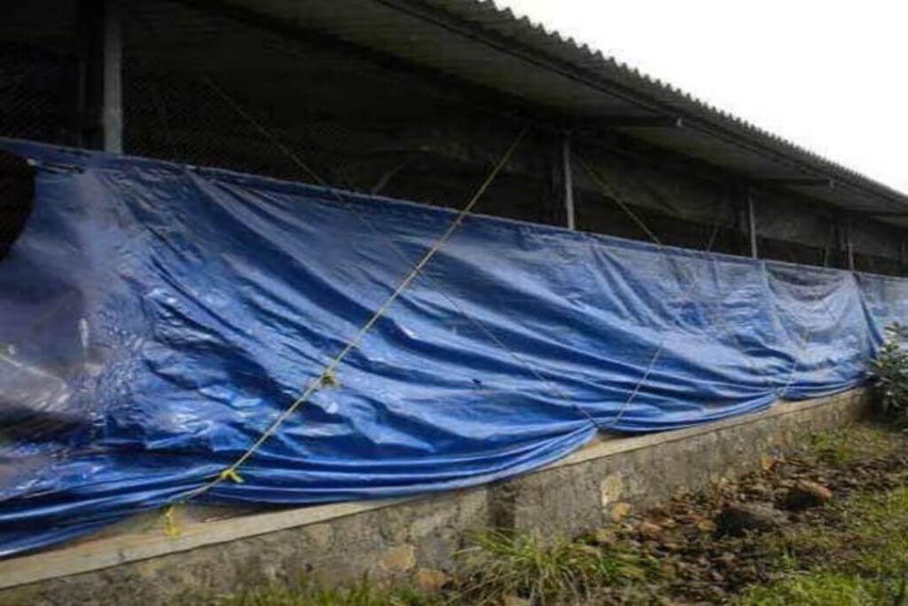 Tarpaulin covers are popular for poultry farms because they are waterproof and dustproof.